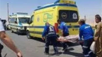 ذبحوه ورموا جثته تحت الجسر.. تفاصيل اكتشاف جثة شخص في قنا