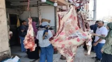 إصدار 17 محضرًا، منها مخالفة ذبح في بني سويف، تحضيرًا لعيد الأضحى