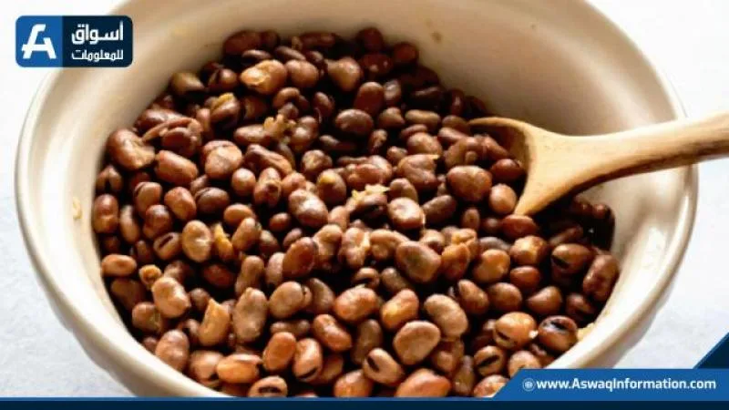 سعر الفول اليوم الخميس لدى التجار: كم يبلغ سعر أردب الفول البلدي؟
