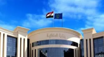 الداخلية توضح ملابسات فيديو توقيف شخصين في الإسكندرية