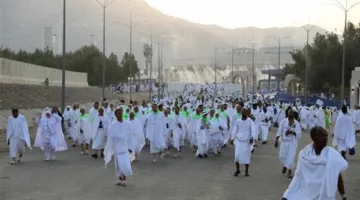 القاهرة الإخبارية: حجاج بيت الله الحرام مستمرون في التلبية من قمة جبل عرفات