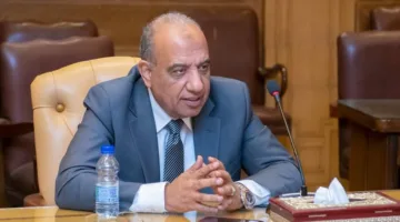 إيميا باور الإماراتية تخطط لزيادة عدد محطات تخزين الطاقة في مصر