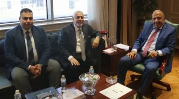 مصر والإمارات تسعيان لتطوير التعاون في مجال الطاقة المتجددة والهيدروجين الأخضر