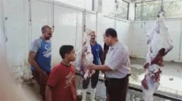 “الأورمان” تبدأ في ذبح الأضاحي بمحافظة أسوان بعد صلاة العيد غدًا