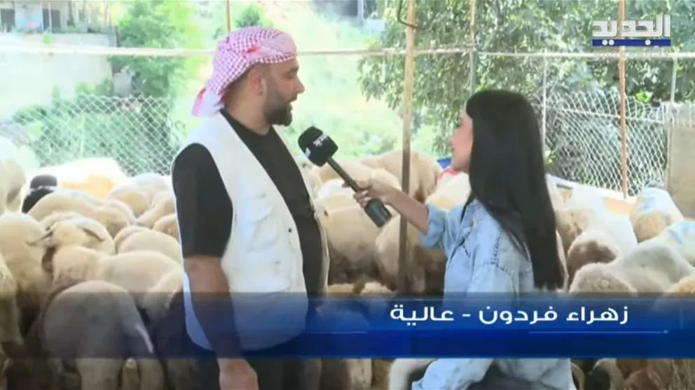 كل ما تحتاج لمعرفته حول أضاحي العيد وأسعارها مع تغطية جديدة كل ما تحتاج لمعرفته حول أضاحي العيد وأسعارها مع تغطية جديدة