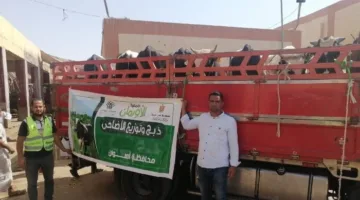 الأورمان تطلق أكبر حملة للأضاحي من أسوان: 2000 رأس عجل ومليون كيلو من اللحوم للفقراء مجاناً