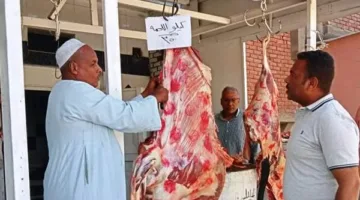 حملة تفتيش في أسوان تستهدف المحلات والمطاعم والنتائج كانت مدهشة