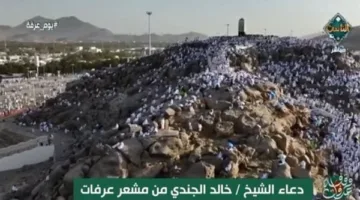 دعاء يوم عرفة 2025 نص كامل.. يسعد القلب ويخفف الهموم والضيق