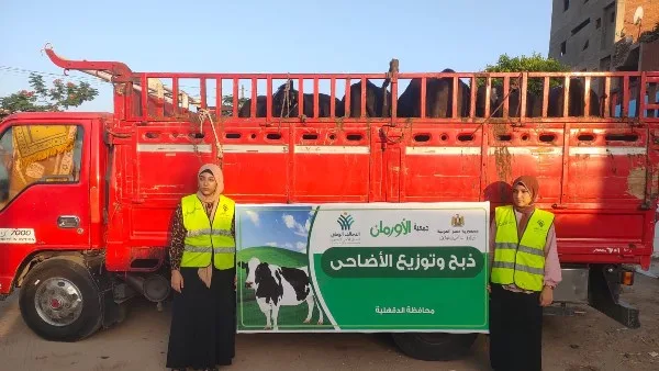 بلدية عجول وألف طن من اللحوم المستوردة… الأورمان تقدم الأضاحي للفقراء في 2025 بلدية عجول وألف طن من اللحوم المستوردة… الأورمان تقدم الأضاحي للفقراء في 2025