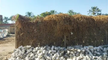 وزارة الزراعة تعزز جهودها لحماية الأراضي الزراعية من التعديات