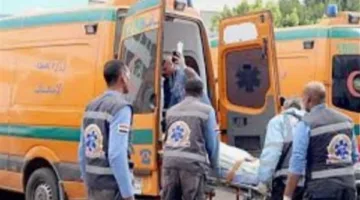 شاحنة تودي بحياة شاب بشكل مأساوي على طريق في الفيوم