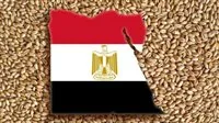 مصر توسع مصادر استيراد القمح بسبب التوترات الجيوسياسية