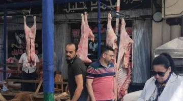 استعدادًا لعيد الأضحى.. كَشَفَت بيطري بورسعيد عن حملة شاملة على الأسواق.