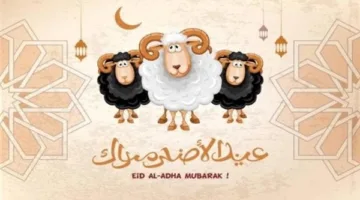 إذا كنت في الخارج أو مسافرًا.. اكتشف توقعات الطقس خلال إجازات عيد الأضحى.