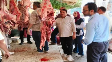 حملات تفتيشية موسعة في الفيوم تؤدي لضبط 113 مخالفة في مجال التموين ومصادرة مواد فاسدة