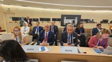 منظمة العمل الدولية تمنح فلسطين صفة العضو المراقب.. وجبران ي reaffirm الثوابت المصرية من أجل القضية الفلسطينية
