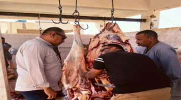 إتلاف 82 كيلو من اللحوم والمواد الغذائية غير الصالحة وتسجيل محاضر في حملات الرقابة التموينية بأسوان