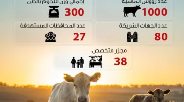 “صندوق تحيا مصر” يحقق Benefactor 1.5 مليون من الأسر المحتاجة من لحوم الأضاحي