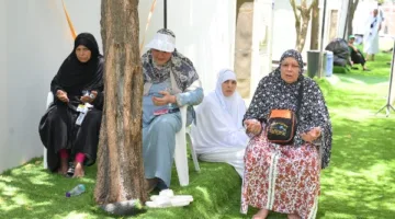 الركن الأساسي | حجاج الجمعيات الأهلية يستعدون للانطلاق إلى مزدلفة عند غروب الشمس