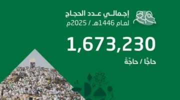 إعلان رسمي عن عدد الحجاج في موسم حج 2025