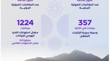 هيئة الاتصالات: (18.3) مليون مكالمة خلال يوم التروية في مكة والمناطق المحيطة بها.