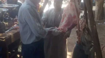 قبل حلول العيد.. ضبط 28 مخالفة في مجال الطب البيطري بالمنيا