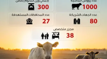 صندوق تحيا مصر: توزيع لحوم الأضاحي على 1.5 مليون شخص مستفيد