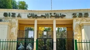بـ 5 جنيهات… حدائق الحيوان تستعد للاحتفال بعيد الأضحى وما هو وضع حديقة الجيزة؟
