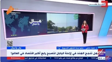 خبير: نمو الاقتصاد الهندي نتيجة الدعم الأمريكي وتنوع الصادرات