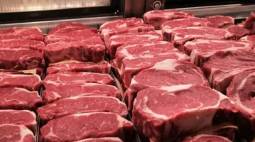 في إطار مبادرة الروشتة الذهبية: 18 توجيهًا لعيد أضحى آمن صحيًا