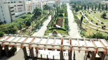 جامعة المنصورة تعلن حالة تأهب في مستشفياتها خلال عيد الأضحى