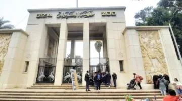 إلغاء عطلات الأطباء البيطريين وزيادة درجات التأهب في حدائق الحيوان