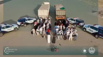 إلقاء القبض على مواطنين لنقلهم (99) وافدًا انتهكوا قواعد وتعليمات الحج