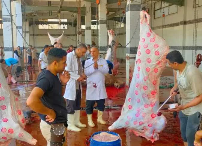 «رهاب الذبح».. اكتشف الأساليب الصحيحة لتفادي صدمة مشاهدة الأضحية «رهاب الذبح».. اكتشف الأساليب الصحيحة لتفادي صدمة مشاهدة الأضحية