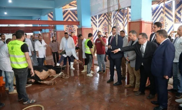 محافظ الدقهلية يتفقد عملية ذبح الأضاحي في مجزر طنامل ويؤكد على سلامة اللحوم وتوزيعها على المستفيدين.