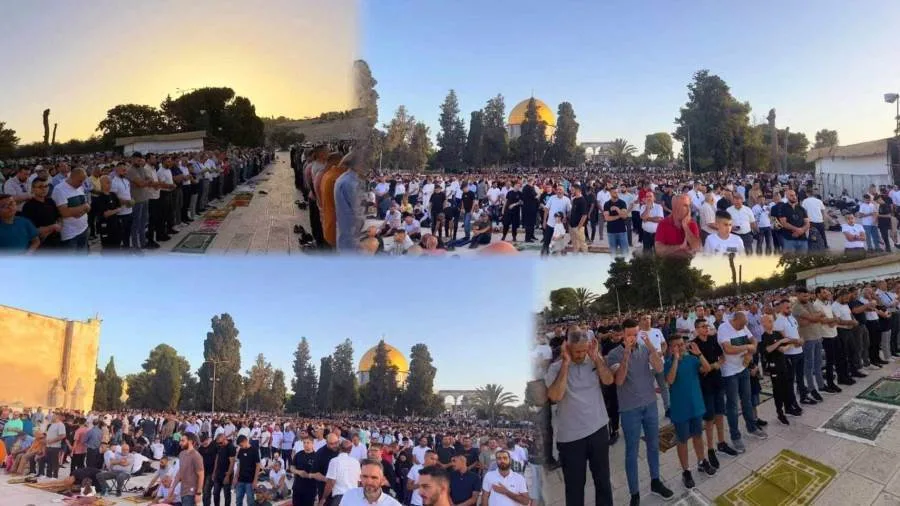 عاجل.. تجمع عشرات الآلاف لأداء صلاة عيد الأضحى في المسجد الأقصى الشريف عاجل.. تجمع عشرات الآلاف لأداء صلاة عيد الأضحى في المسجد الأقصى الشريف