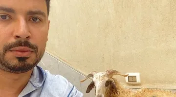 محمد أنور يحتفل بالعيد مع جمهوره بأسلوب فكاهي