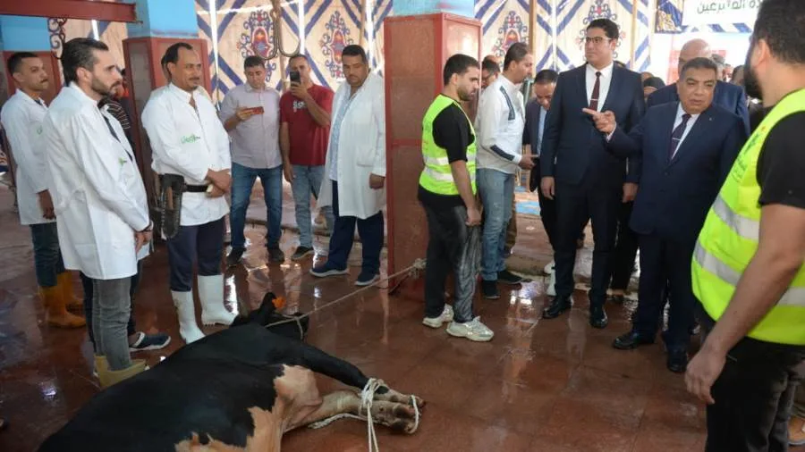 محافظ الدقهلية يشرف على ذبح الأضاحي في مجزر طنامل لتوزيعها على الأسر المحتاجة.