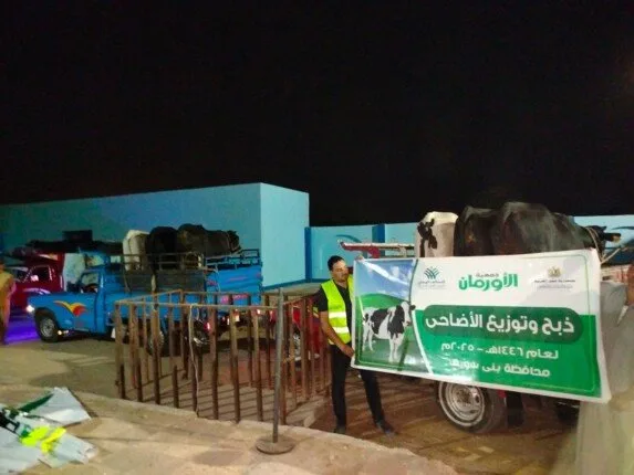 «الأورمان» تذبح 45 عجلًا في بني سويف وتجهز لتوزيع 50 طن من اللحوم على الأسر المحتاجة. «الأورمان» تذبح 45 عجلًا في بني سويف وتجهز لتوزيع 50 طن من اللحوم على الأسر المحتاجة.