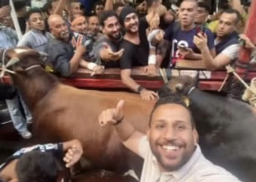 أحمد العوضي من عين شمس: قدمنا تضحيات في سبيل أهل بلدنا. أحمد العوضي من عين شمس: قدمنا تضحيات في سبيل أهل بلدنا.