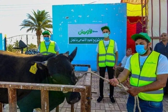 الأورمان تنفذ ذبح الأضاحي في أسوان وتخصص 50 ألف كيلو من اللحوم للأسر ذات الاحتياجات الكبيرة الأورمان تنفذ ذبح الأضاحي في أسوان وتخصص 50 ألف كيلو من اللحوم للأسر ذات الاحتياجات الكبيرة