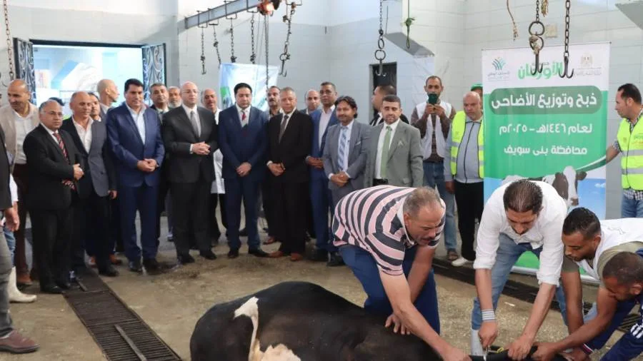 محافظ بني سويف يشارك في مراسم ذبح الأضاحي في مجزر اهناسيا بإجمالي 205 رأس محافظ بني سويف يشارك في مراسم ذبح الأضاحي في مجزر اهناسيا بإجمالي 205 رأس