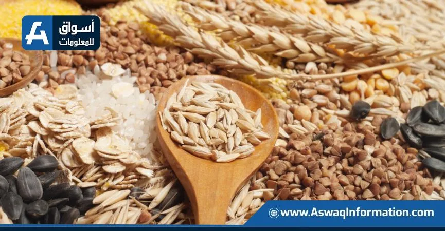 منظمة الفاو تتنبأ بزيادة قياسية في إنتاج الحبوب عالميًا بحلول 2025 منظمة الفاو تتنبأ بزيادة قياسية في إنتاج الحبوب عالميًا بحلول 2025