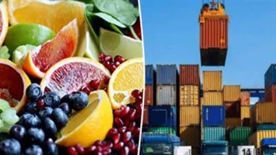 تتخطى 10 مليارات دولار.. زيادة غير عادية في إيرادات الصادرات الزراعية تتخطى 10 مليارات دولار.. زيادة غير عادية في إيرادات الصادرات الزراعية