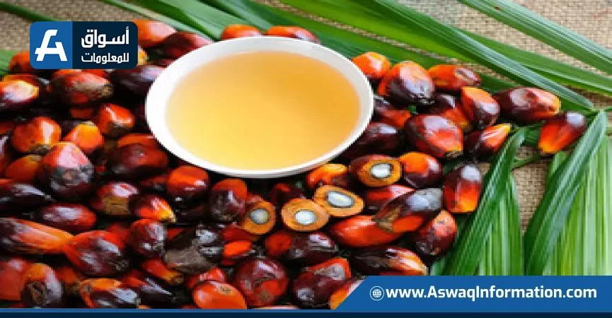 زيادة أسعار العقود الآجلة لزيت النخيل الماليزي للأسبوع الرابع على التوالي زيادة أسعار العقود الآجلة لزيت النخيل الماليزي للأسبوع الرابع على التوالي
