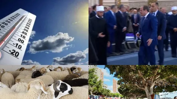 أخبار التوك شو: رئيس شعبة الجلود يشارك نصائح قيمة للمواطنين للحفاظ على جلود الأضاحي.. والأرصاد الجوية تكشف مفاجأة بشأن طقس أول أيام العيد. أخبار التوك شو: رئيس شعبة الجلود يشارك نصائح قيمة للمواطنين للحفاظ على جلود الأضاحي.. والأرصاد الجوية تكشف مفاجأة بشأن طقس أول أيام العيد.