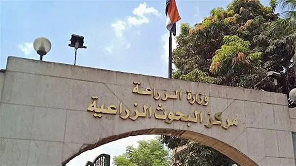 مختبر تحليل بقايا المبيدات يستقبل أكثر من 2500 عينة في غضون 48 ساعة. مختبر تحليل بقايا المبيدات يستقبل أكثر من 2500 عينة في غضون 48 ساعة.