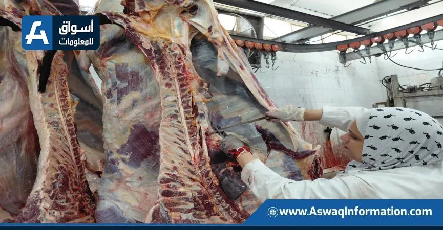 في أول أيام العيد.. المسالخ الحكومية تستقبل أكثر من 9800 أضحية للتضحية مجانا في أول أيام العيد.. المسالخ الحكومية تستقبل أكثر من 9800 أضحية للتضحية مجانا