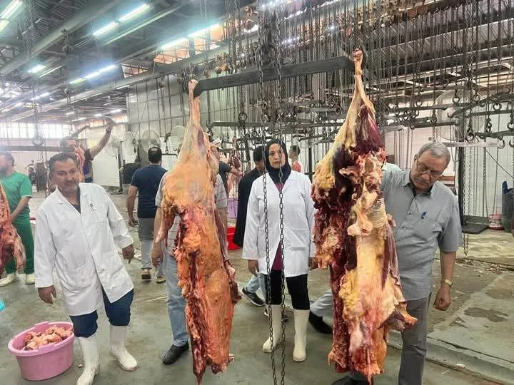 “الزراعة”: المسالخ الحكومية تستقبل أكثر من 9800 رأس من الأضاحي في أول أيام العيد