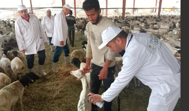 ذبح